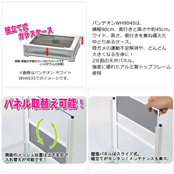 楽天市場】爬虫類ケージ 三晃商会 パンテオン ホワイト WH9045  
