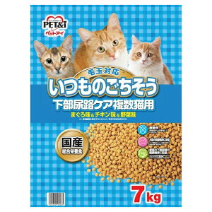 �L���b�g�t�[�h�@�y�b�g�A�C�@�����̂��������@�����A�H�@�����L�@7kg�@����l�l3�_����@�֓�������