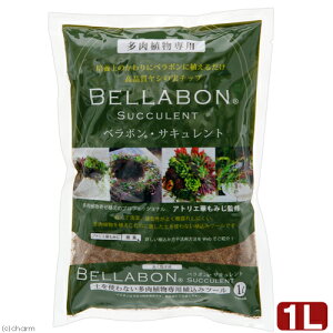 |{y@ς݁@׃{ETLg@1L@V̎@`bv@RRV@֓