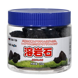 カミハタ　プチアクアの石　溶岩石　200g　関東当日便