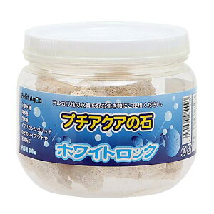 J~n^@v`ANA̐΁@zCgbN@300g@֓