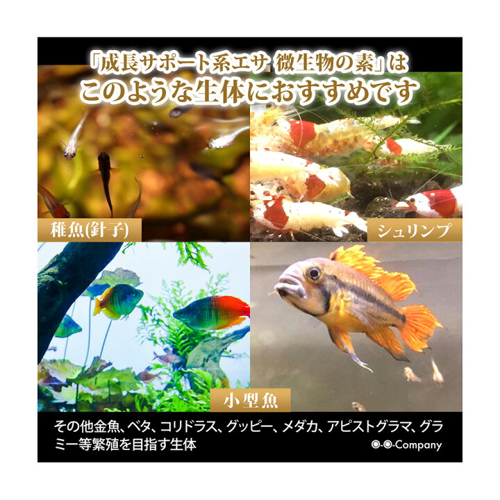 楽天市場 ｏ ｏ オーオー 微生物の素 プロテイン入り １０ｇ エビ メダカ エサ 水質改善 生存率アップ 関東当日便 Charm 楽天市場店