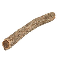 コルク樫　小枝　（直径6〜10×長さ60cm未満）　園芸　素材　爬虫類　レイアウト　関東当日便