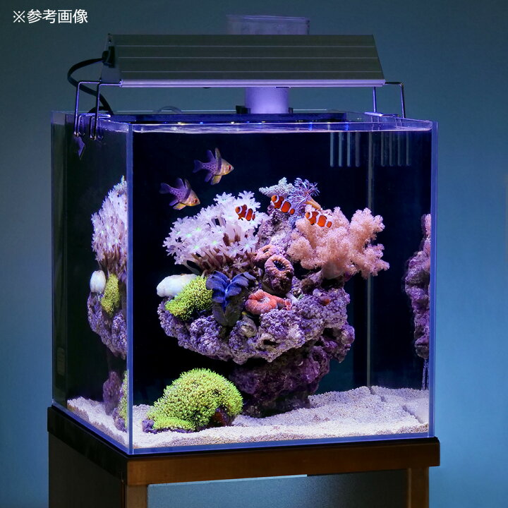 楽天市場】アクロ TRIANGLE LED MARINE 300 
