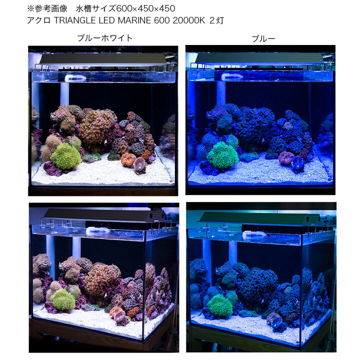 楽天市場】アクロ TRIANGLE LED MARINE 600 