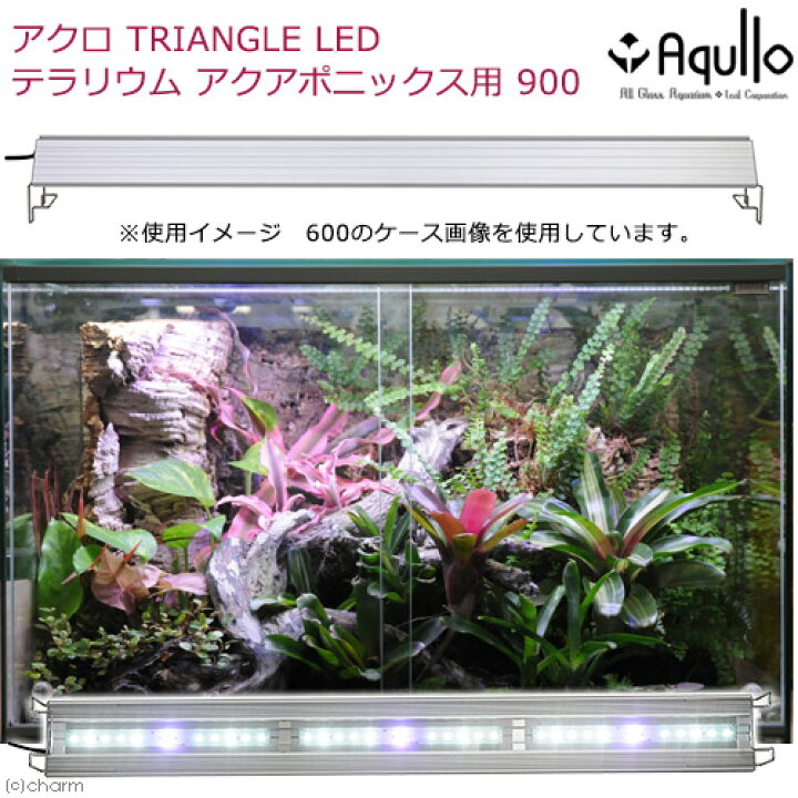 楽天市場】アクロ TRIANGLE テラリウム・アクアポニックス 