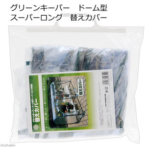 O[L[p[pւJo[@h[^@X[p[Op@֓