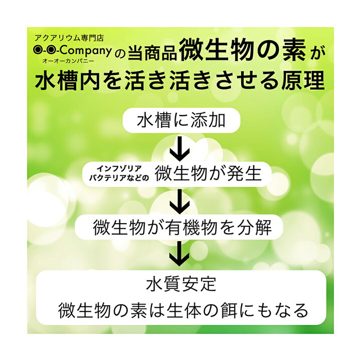 楽天市場 ｏ ｏ オーオー 微生物の素 １０ｇ エビ メダカ エサ 水質改善 生存率アップ 関東当日便 Charm 楽天市場店