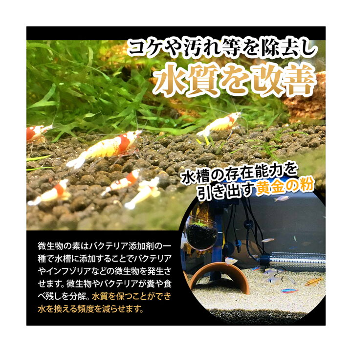 肌触りがいい ｏ ｏ オーオー 微生物の素 １０ｇ エビ メダカ エサ 水質改善 生存率アップ Shipsctc Org