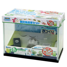 楽天市場 ザリガニ 飼育セットの通販