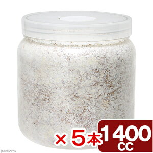 ①ێr@XL|POT@J^P@1400cc@5{@{g@ʓrN[萔@퉷is