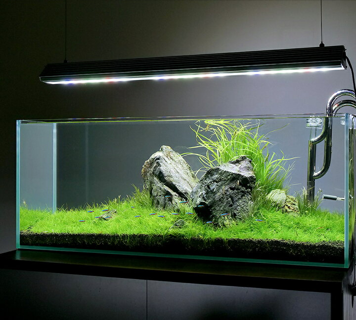 楽天市場】アクロ TRIANGLE LED GROW Pro 900 