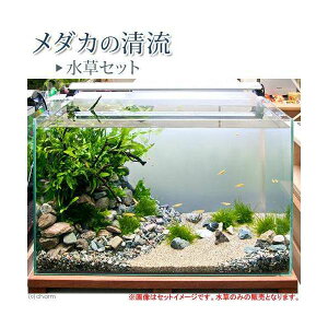 ij_J̐@Zbg@_Jt@ll1_@߂@{Bl