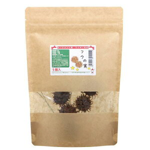 I[ig@ӂ̎@C[t@5@NX}X@֓