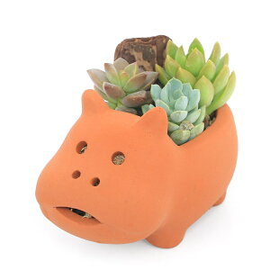 iϗtAj񂹐A@Aj}eRb^@Joi1jy΍Eo[N@A@@v[g