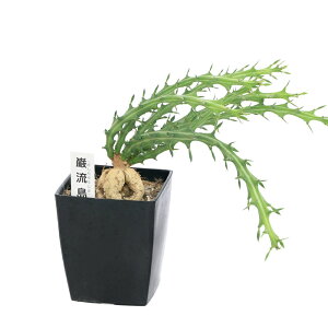 iAj[tHrA@N`[iޗj@3i1j