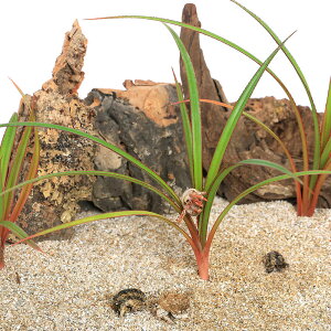 iϗtAjybg[t@^RmL@c@3`4i_ji3|bgjIJhJ