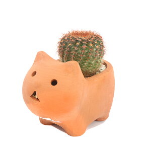 iϗtAj܂T{e@Aj}eRb^@lRi1jy΍Eo[N@A@@@v[g