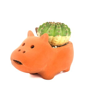 iϗtAj܂T{e@Aj}eRb^@Joi1jy΍Eo[N@A@@@v[g