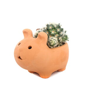 iϗtAj܂T{e@Aj}eRb^@ETMi1jy΍Eo[N@A@@@v[g