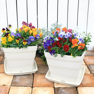 iϗtAj񂹐A@rI@󂯎Mti1jG߁@Ԓd@ԕc@@ց@@Sҁ@ԁ@u@K[fjO