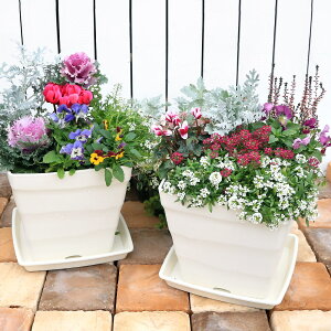 iϗtAj񂹐A@i킨܂@{̉ԁ@󂯎Mt@25cmi1jG߉Ԓdԕc댺֓叉SҔԒuK[fjO