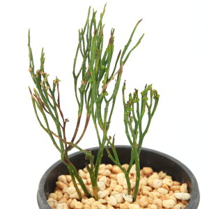 iR쑐jV_irj}co@mp@3i1j