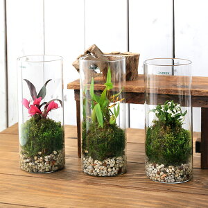 iϗtAjۃeE@m@i킨܂@~{gSTCY@Wti1j@RPeE@ۃe@RPe@ہ@CeA