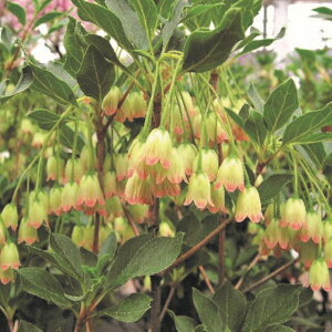 iR쑐j~́@hE_ccW@₵@4`6i1|bgjixԁj