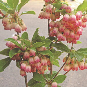 iR쑐j~́@ccW@ghE_@4i1|bgjixԁj