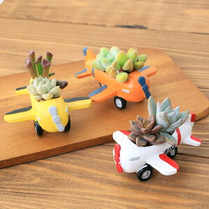 iϗtAj܂v`2A@Ђ|bg@F܂i5j@A@@v[g