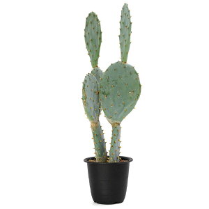 iAjT{e@IveBA@II}{iۖ~j@3D5i1j