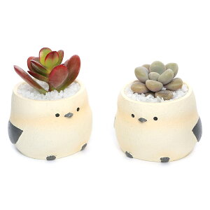 iϗtAj܂v`@gAj}@V}GiKi1j@ł܂鍻@A@@v[g