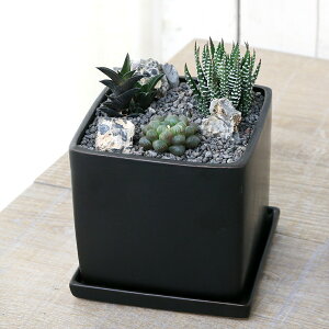 iAj܂nI`A@nCAEg@픫A@}bgubNhi1j󂯎Mt@n⍻@k