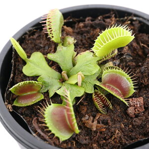 iHAjnGg\E@@2D5`3i1|bgjixԁj