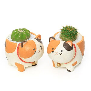 iϗtAj܂v`T{e@lOєLi1j@ł܂鍻@A@@v[g