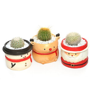 iϗtAj܂v`T{e@NX}X@F܂i1j@ł܂鍻@A@@v[g