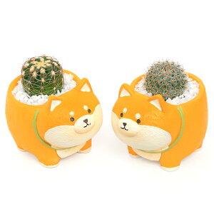 iϗtAj܂v`T{e@lČi1j@ł܂鍻@A@@v[g