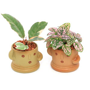 iϗtAj܂~jϗt@nji1jZ~X@A@@@v[g