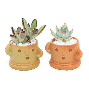 iϗtAj܂v`@nji1jł܂鍻