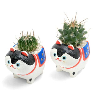 iAj܂v`T{e@qi1j@ł܂鍻