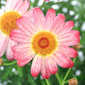 iϗtAjTg[@{U}[Kbg@TCYsN@3D5i1|bgj