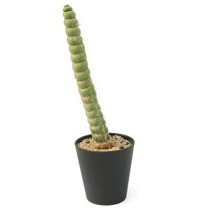 iAj_@T{e@ZEX@JX^lA@XsX@4i1ji350198j