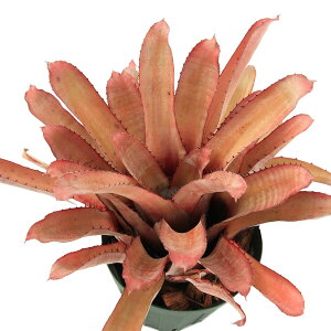 iϗtAjGNA@slAi@varD~k[^@4i1j^NuA