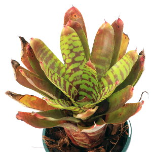 iϗtAjlIQA@ftB[o[sb`f@^CY@3i1j^NuA