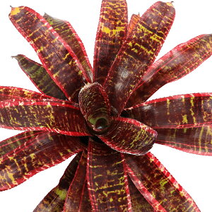 iϗtAjlIQA@fVt@[f@4i1j^NuA