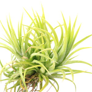 iϗtAjGA[vc@`WA@CIi^@u[AChhCh@Nvi1j