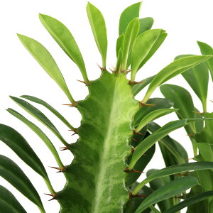 iAj[tHrA@ʉ_tiTCEJNj@6i1j