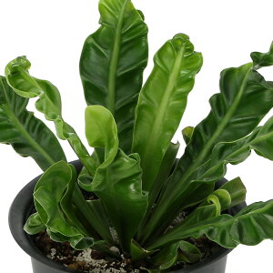 iϗtAjV_@AXvjE@Ru@3D5`4i1j