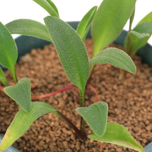 iAjh~IvVX@Rvgj[@3i1j